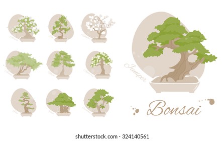 Set bonsai trees: maple, elm juniper, ficus, pine, carmona, azalea, apple tree, sakura, acacia. Vector illustration.