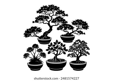 Set of bonsais tree vector 