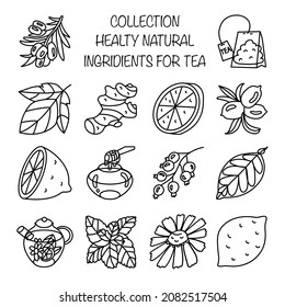 Set with boost immunity system elements. Nature harvest, healthy product, tea ingredient. Alternative medicine. Isolated element. Vector illustration. Use for eco market and healthy food packing.