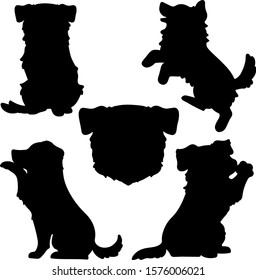 Set of Border Collie silhouettes