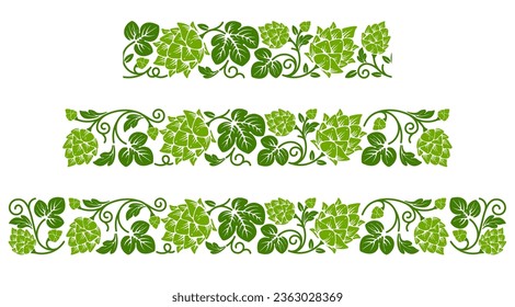 Set of border with patterns of hop plant or malt, ripe hops cones, branches and leaves. Seamless pattern, decoration and ornament with corner elements. Vector illustration