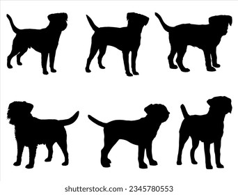 Set of Border Terrier dog silhouette vector art