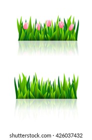 Set of borders with fresh green grass and flowers