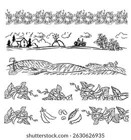 Set of borders soybean farming black and white illustration hand made vector