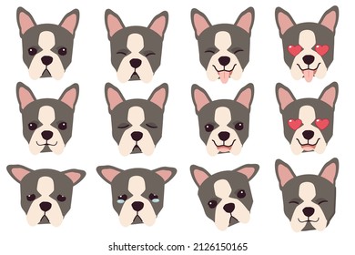 Set of Boston terrier dog emotions. Funny Smiling and angry, sad and delight dog. Face of dog cartoon emoji. Illustration about kawaii animal and pet in flat vector style.