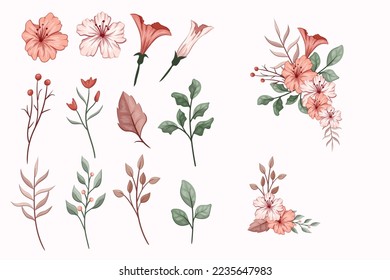 Set Botanic Blossom Floral Elements. Bloom Vector Illustration Isolated on white background