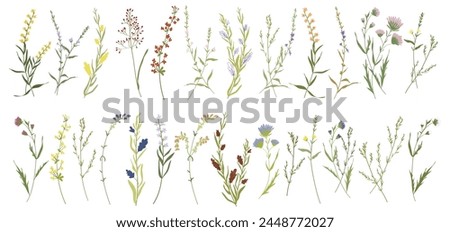 Similar – Image, Stock Photo a wildflower meadow with red poppy and white chamomile against blue summer sky