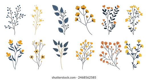 Conjunto de flores silvestres botánicas. Flores silvestres colección de Vector. hierbas, plantas herbáceas, flores florecientes, subarbustos aislados sobre fondo blanco.