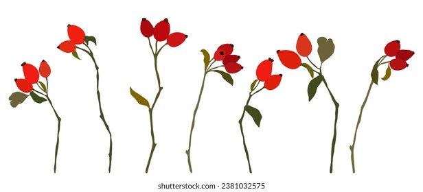 Set of botanical abstract branches, wild rose drawings. Branch, leaves, berries on a white isolated background in a simple style. Vector bright illustration for decor.	