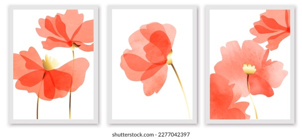 Set of botanical art posters, prints. Transparent red poppies on white background. Triptych composition with watercolor macro flowers. 