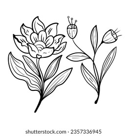 set of Botanical arts. Hand drawn line drawing of abstract flower, floral, rose, tropical leaves, spring and autumn leaf, bouquet of olives
