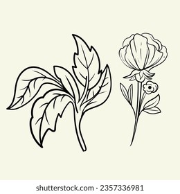set of Botanical arts. Hand drawn line drawing of abstract flower, floral, rose, tropical leaves, spring and autumn leaf, bouquet of olives