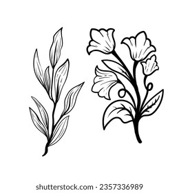 set of Botanical arts. Hand drawn line drawing of abstract flower, floral, rose, tropical leaves, spring and autumn leaf, bouquet of olives
