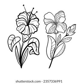 set of Botanical arts. Hand drawn line drawing of abstract flower, floral, rose, tropical leaves, spring and autumn leaf, bouquet of olives