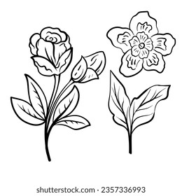set of Botanical arts. Hand drawn line drawing of abstract flower, floral, rose, tropical leaves, spring and autumn leaf, bouquet of olives