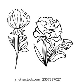 Botanische Kunst. Handgezeichnete Zeichnung abstrakter Blumen, Blumen, Rosen, tropische Blätter, Frühlings- und Herbstblätter, Olivenbäume