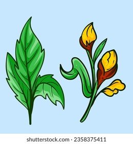 set of Botanical arts. Hand drawn line drawing of abstract flower, floral, rose, tropical leaves, spring and autumn leaf, bouquet of olives