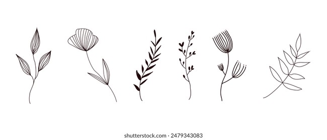 Set botanical arts. Hand drawn continuous line drawing of abstract flower, floral, herb. Vector line art illustration.