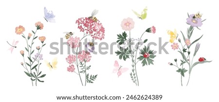 Set of botanical bouquet vector element. Collection of ladybug, bee, butterfly, flowers, wildflowers, wild grass. Watercolor floral illustration design for logo, wedding, invitation, decor, print.