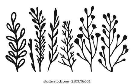 Set botanical branch silhouettes and minimal leaves design elements. Hand drawn line wedding herb, simple wildflowers.