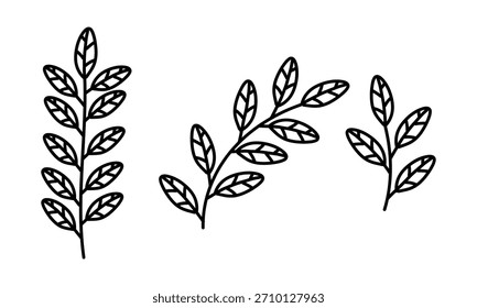 Conjunto de ramas botánicas con hojas dibujadas a mano en negro. Elementos botánicos en estilo minimalista para crear tarjetas de felicitación de temporada, logotipos, patrones, etiquetas, marcos, etiquetas, dibujos decorativos