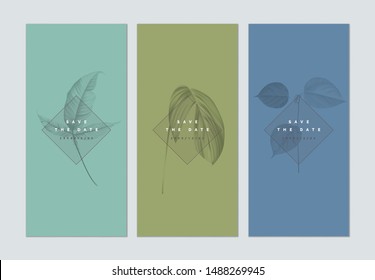 Set of botanical brochure cover template design, leaves in monotone color on cyan, green and blue, vintage style