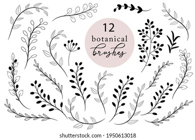 Set of botanical brushes, rustic hand drawn branches and leaves