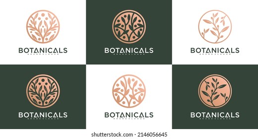 Set of botanical business logo template, design for organic business Premium Vector