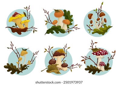 Set of botanical compositions with autumn mushrooms and forest plants, conifers, dry leaves. Vector graphics.