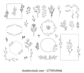 Set of botanical design elements. Frames, borders, wreaths, leaves, herbs, flowers, bouquets. Modern wedding style. Vector isolated illustration.