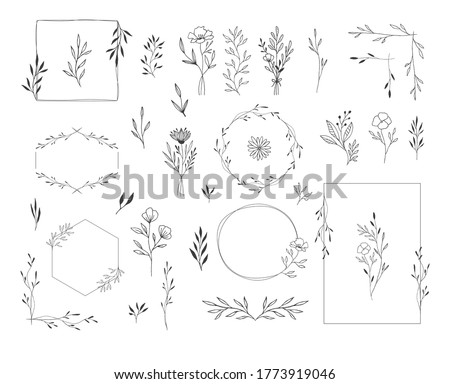 Set of botanical design elements. Frames, borders, wreaths, leaves, herbs, flowers, bouquets. Modern wedding style. Vector isolated illustration.