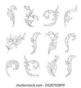 Set of botanical design elements Modern wedding style. Vector isolated illustration.