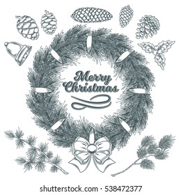 Set botanical elements - cones and branches of pine, spruce, larch