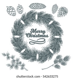 Set botanical elements - cones and branches of pine, spruce, larch