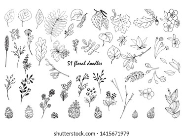 Set of botanical elements for design. Hand drawn collection of doodles, sketch. Vector. Black lines isolated on white background.