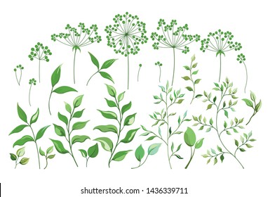 A set of Botanical elements, field flowers grass leaves branches. Collection of garden and wild foliage flowers branches isolated on white. Vector graphics.