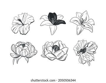 set of botanical elements, flowers. Vegetation. Engraving. Sketches of tattoos, design for a pattern