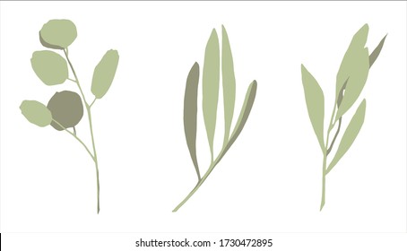 Set of botanical elements. Green leaves and twigs.