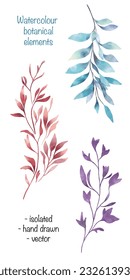 Set of botanical elements isolated. Floral branches clip art. Decorative seasonal elements