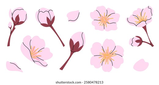 Set botanical elements sakura flowers and twigs. Cherry blossom, hanami. Delicate petals, buds, flowers Japanese tree. Flat illustration on white background.