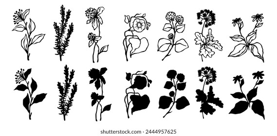 Set of botanical elements, sketches and silhouettes of wild herbs, wildflowers, plants, dried flowers, leaves. Vector graphics.