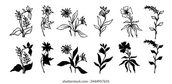 Conjunto de Elementos botánicos, bocetos y siluetas de hierbas silvestres, flores silvestres, plantas, flores secas, hojas. Vector gráfico.