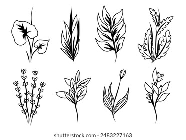 Set of botanical floral decorations in flat cartoon design. A set of stylized flowers and leaves, drawn in a linear style, can be a decoration of any design. Vector illustration.