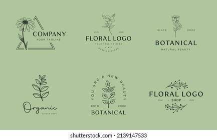 Set of Botanical Floral element Hand Drawn Logo with Wild Flower and Leaves. Logo for spa and beauty salon, boutique, organic shop, wedding, floral designer, interior, photography, cosmetic