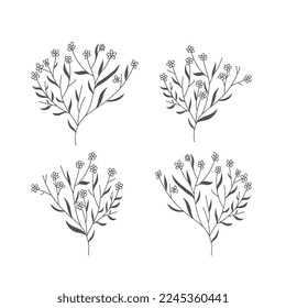 set of botanical floral element hand drawn line art