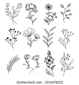 set of botanical floral elements, plants and flowers. branches on a white background