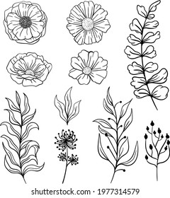 set botanical floral wildflower hand drawn isolated 