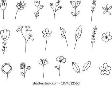 Set of botanical flower doodle elements, ornament floral hand drawn for inviation card, Illustration,  vector