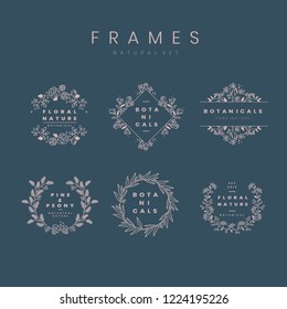 Set of botanical frame design elements vector