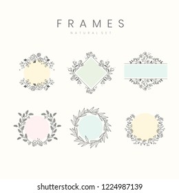 Set of botanical frame design elements vector